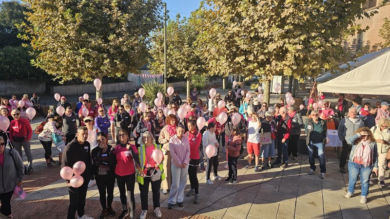 Participants à la marche solidaire d'octobre rose